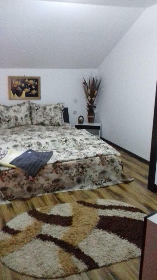 ホテルCasa Leonardo Haţeg エクステリア 写真